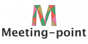meeting point custom software development solution